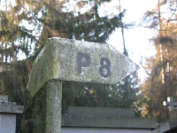 cmentarz_polanastepne_001