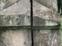 czarne_120