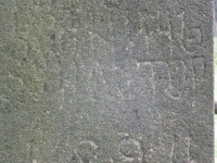 czarne_177
