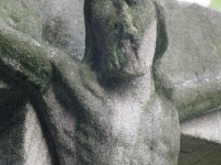 kotan_072