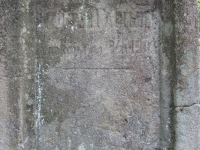 lypna_81