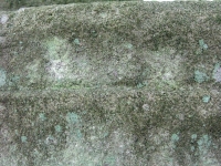 nieznajowa_109