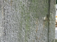 odrzechowa_074