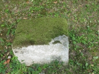 odrzechowa_152