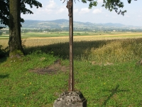 odrzechowa_167