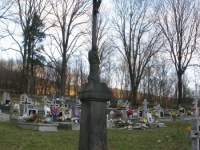 pentna_443