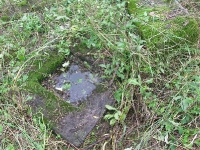 przybyszow_32