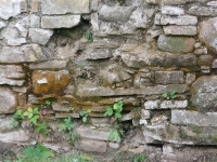 wola_nyznia-36