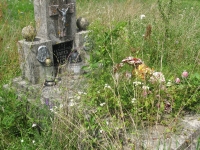 cetula_54