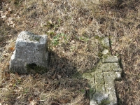 cewkow_119