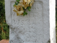 cewkow_133