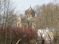 dzikowstary_030