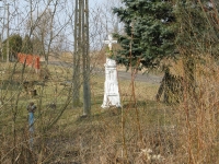 dzikowstary_001