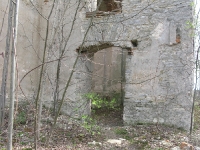 kniazi_113