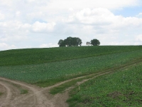 kosciaszyn_013