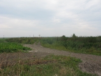 krzewica_01