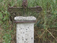 krzewica_18