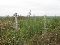krzewica_31