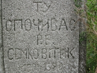 krzewica_42