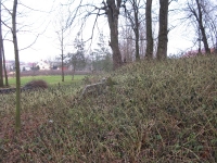 macckowice_141