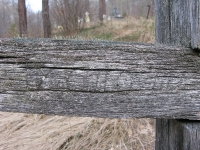molodycz_048