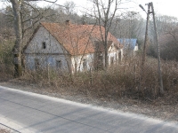 molodycz_208