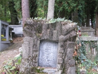 pole19_03