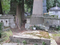 pole19_08