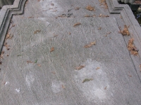 pole19_46