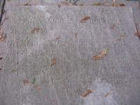 pole19_47