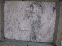 pole19_59