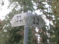 cmentarz_65
