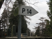 cmentarzcd_037