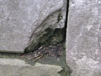 cmentarzcd_062