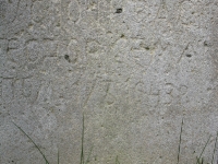 tenetyska_336