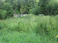 paszowa_17