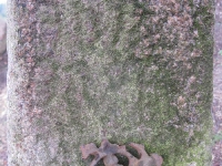 hnijno_067