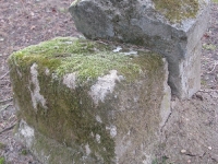 hnijno_159