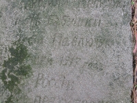 hnijno_302