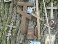 jabloczyn_034