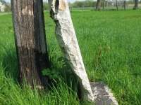 rozanka_093