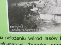 zdzarka_04