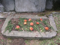cmentarzcd_020