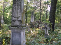 zukow_2006_11