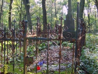 zukow_2006_169