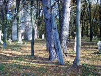 zukow_2006_37