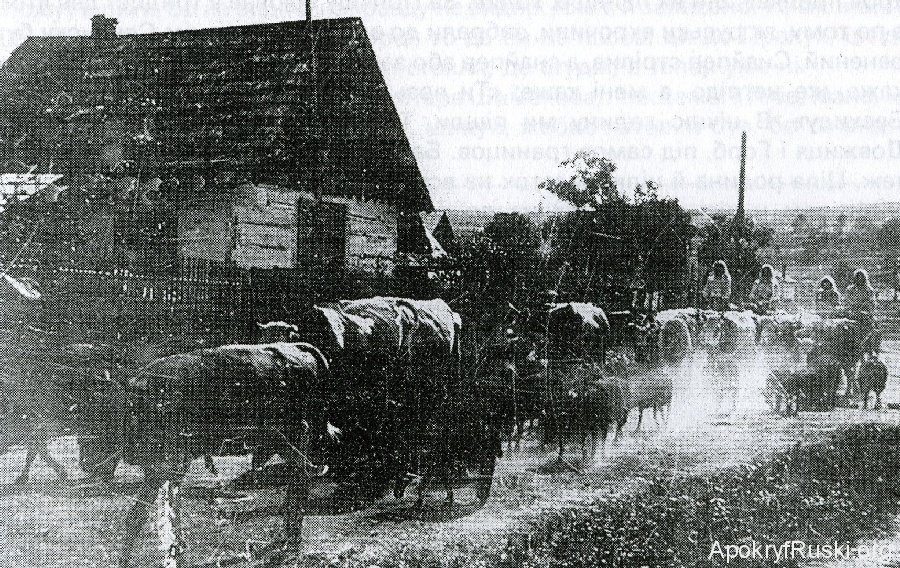 Wołosi – nosiciele prawa